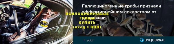 дмт Ладушкин