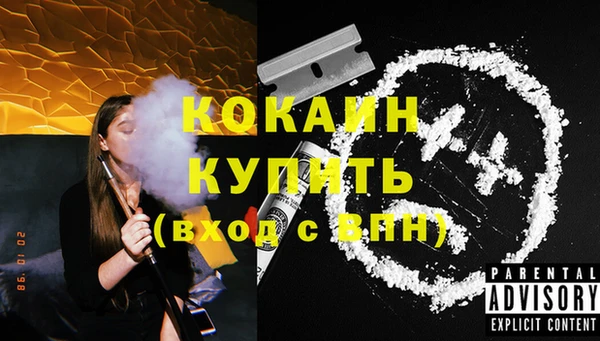 дмт Ладушкин