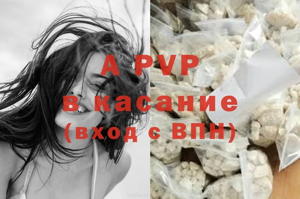 дмт Ладушкин