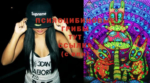 PSILOCYBIN Лагань