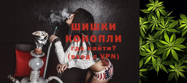 PSILOCYBIN Лагань