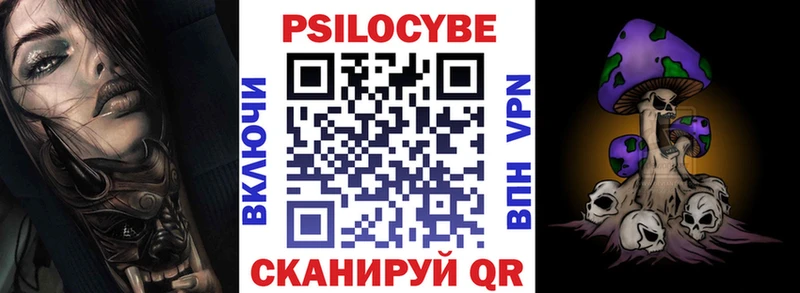 где найти наркотики  Лебедянь  hydra ТОР  Галлюциногенные грибы Psilocybe 
